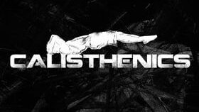 Página Inicial metal poster displate calisthenics dragon flag